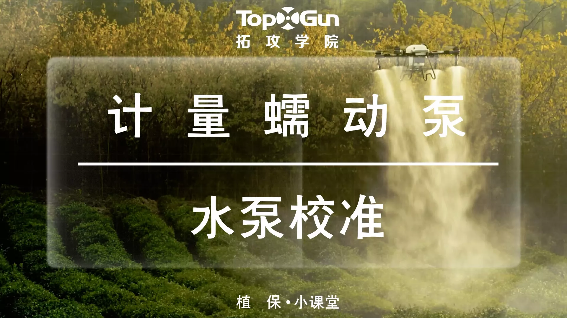 计量蠕动泵-水泵校准