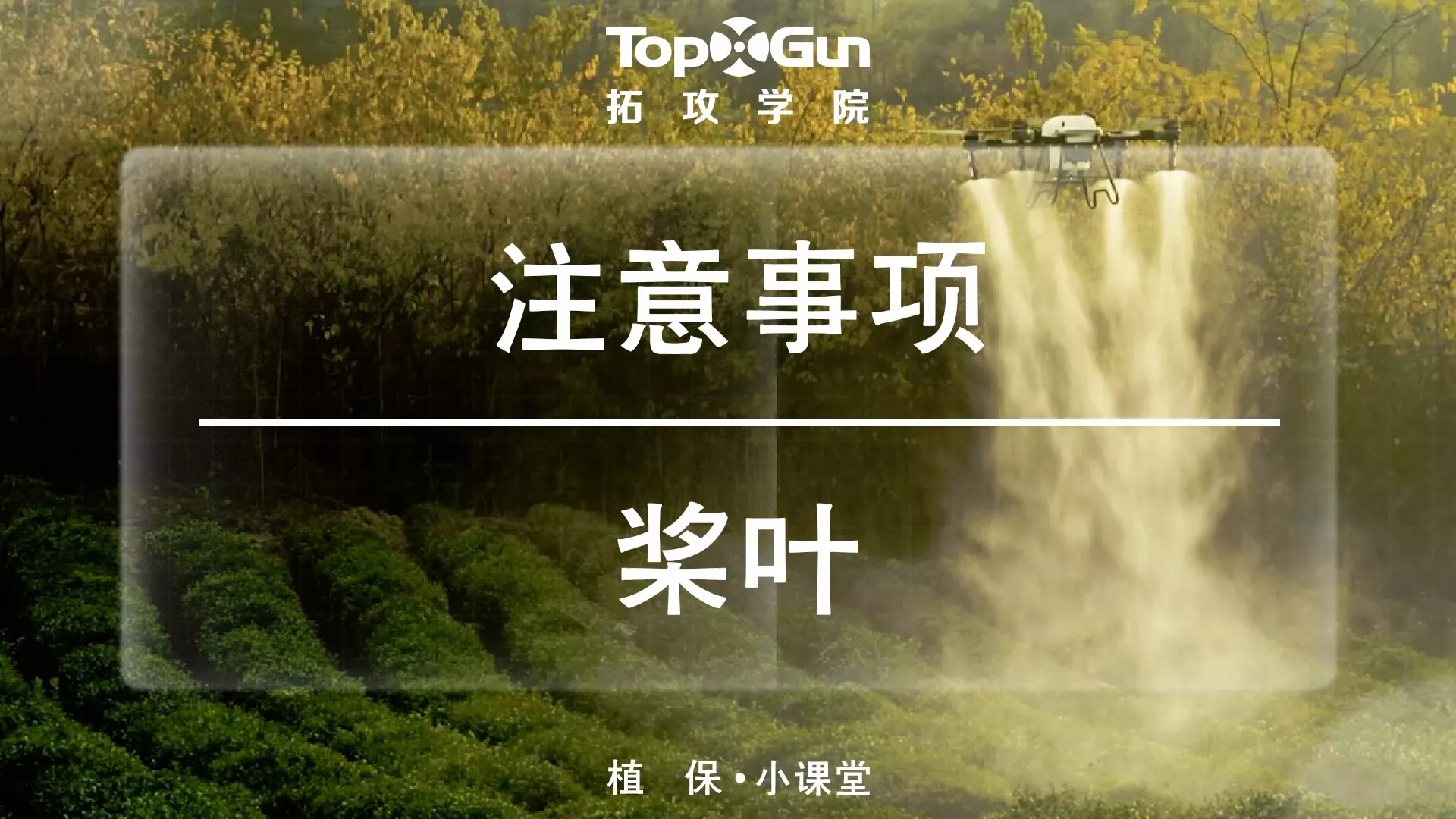 桨叶注意事项