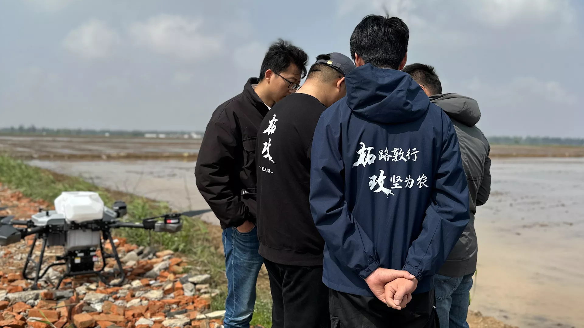 江西水稻直播