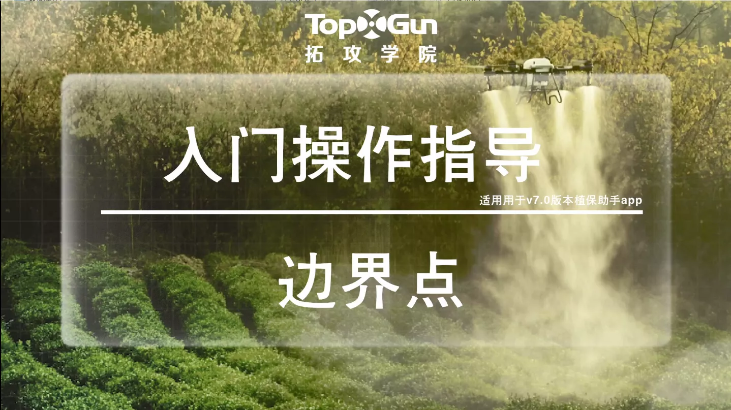 边界点测绘