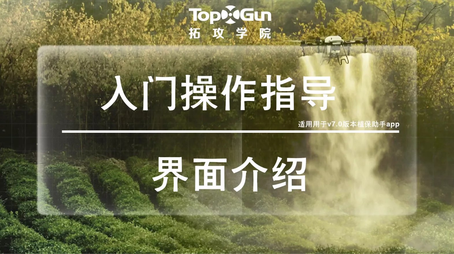 界面介绍